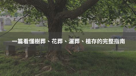 樹葬 影響後代|影／環保葬／風水師：樹葬生魂若不安寧 恐影響後代子孫運勢